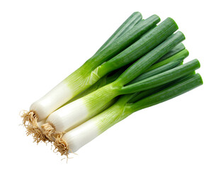 Fresh green onions with white bases and fine roots on black