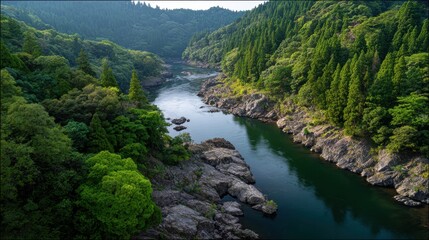 Serene river meandering through lush green mountainous forest landscape