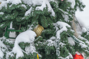 Snowcovered pine with holiday decor, Frosty pine tree adorned with golden ornaments outdoors, Outdoor winter scene featuring snow dusted pine and shimmering lights