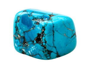 Bright turquoise gemstone with intricate black veining and marbled patterns