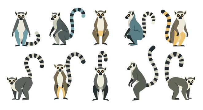 Lemurs in various poses with transparent background
