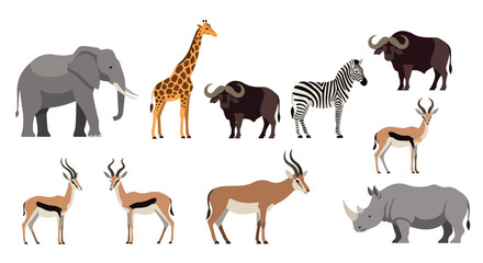 Obraz premium African wildlife collection with transparent background