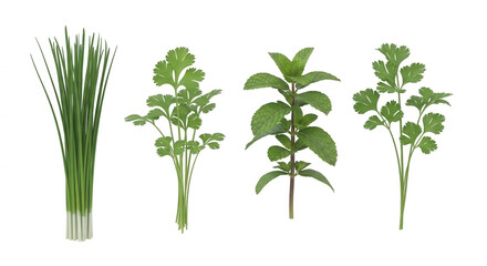 Fresh herbs on transparent background green leaves healthy eating concept