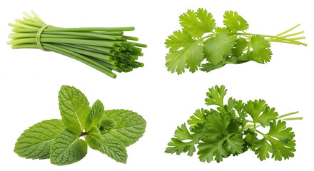 Fresh herbs on transparent background green leaves natural food preparation