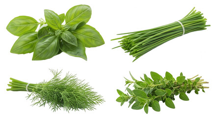 Fresh herbs on transparent background green leaves natural ingredients healthy food