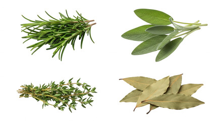 Fresh herbs on transparent background rosemary sage thyme and bay leaves culinary ingredients