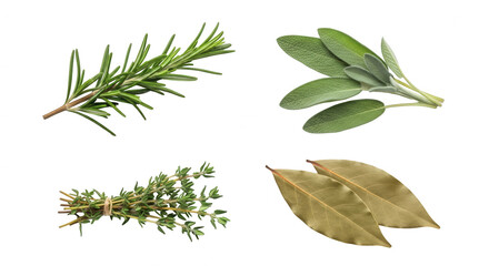 Fresh herbs on transparent background rosemary sage thyme and bay leaves culinary ingredients