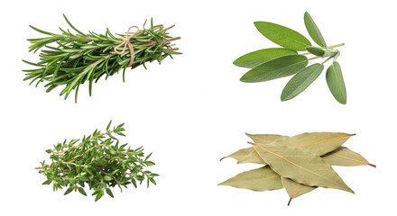 Fresh herbs on transparent background rosemary sage thyme bay leaves culinary