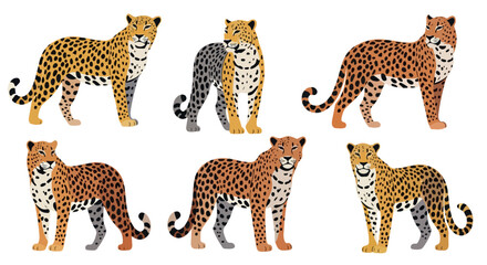 Leopards in various poses with transparent background © Pandaman1102