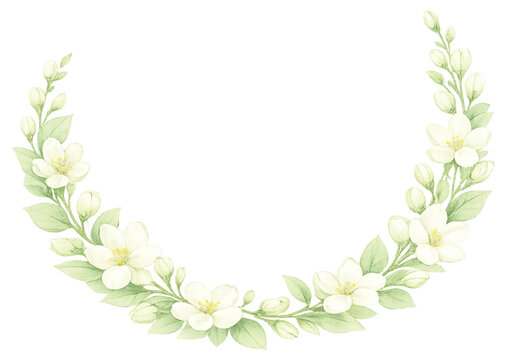 Watercolor jasmine half floral wreath isolated on transparent background