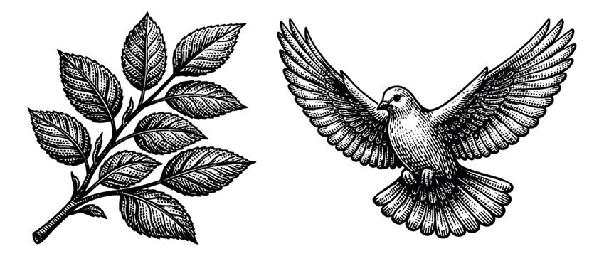 Hand drawn line art nature elements set featuring a flying dove and a leafy branch for vintage design