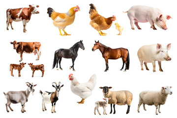 farm animals set isolated on white background