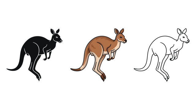 Set of three kangaroo illustrations in black silhouette, color, and outline styles