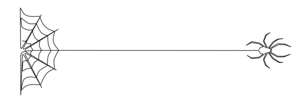 Continuous line art of a spider secreting silk to build a web as a home and trap for its prey. Vector illustration of a spider and a web