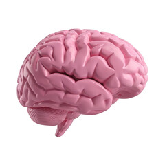 3d rendered detailed human brain