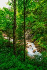 Obraz premium Spodnji Martuljški slap or Martuljski waterfall in Gorenjska, near Kranjska Gora in Slovenia
