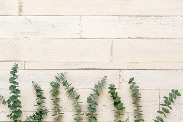 シャビーな木目とユーカリの背景素材