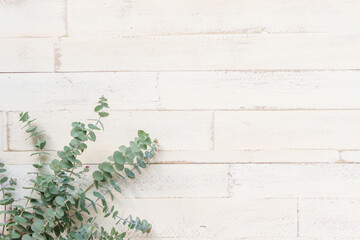 シャビーな木目とユーカリの背景素材