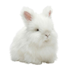 Obraz premium White fluffy bunny rabbit sitting isolated. Cute farm animal.