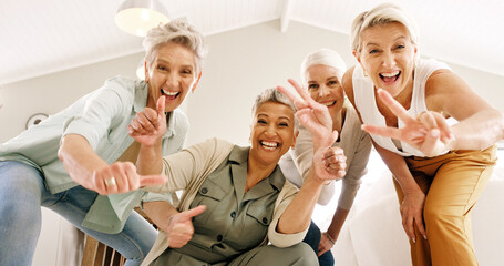 Energy, hand gesture and portrait of old women in home together for bonding or fun from below. Excited, peace sign and thumbs up emoji with group of happy senior friends in apartment for retirement