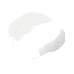 A single black plume quill pen vector illustration featuring an elegant ink drawing pattern of a nature element wing for calligraphy and art design