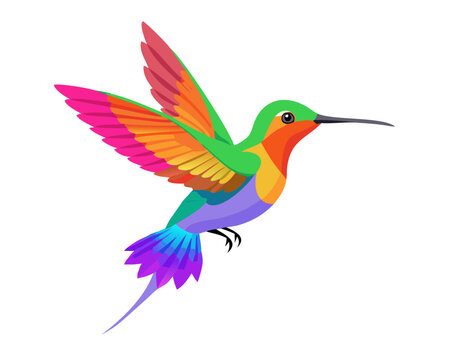 A cute cartoon illustration of a tropical hummingbird with colorful feathers and a sharp beak, shown in flight near a flower and perched on a branch as a nature-themed wildlife vector design