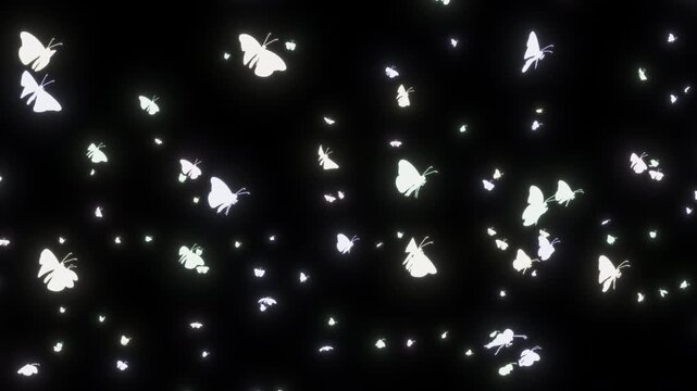 A medium number of glowing 3D butterflies fly upward at an angle. Magical luminous motion in a seamless loop 4K resolution video with alpha channel, perfect for fantasy, fairy-tale.