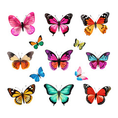 A beautiful collection of colorful vector butterflies and flying insects featuring artistic wing designs for nature and spring illustration