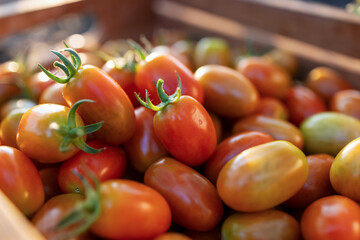 Farm to Table Organic Cherry Tomatoes Close Up Background