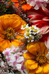 Colorful variety of blooming garden flowers background