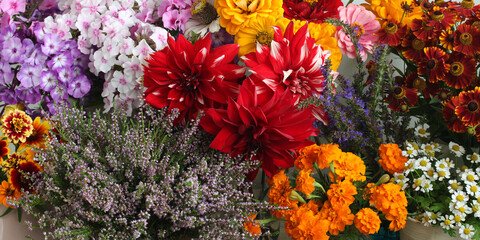 Autumn flower market bounty showcasing colorful blossom variety