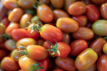 Farm to Table Organic Cherry Tomatoes Close Up Background