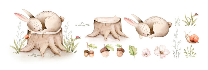 Watercolor cute sleeping baby bunny animal. Woodland nursery isolated whimsical rabbit illustration soft pastel for children. watercolour stump and acorn forest drawing with floral elements. © kris_art