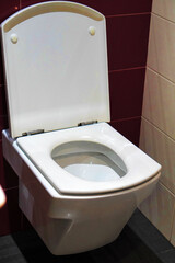 stomach problems diarrhea and constipation concepts. toilet or lavatory