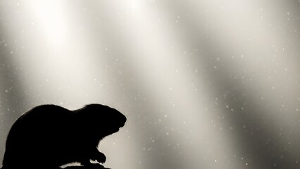 Silhouette of a groundhog on a gray background with sun rays and snowflakes falling around