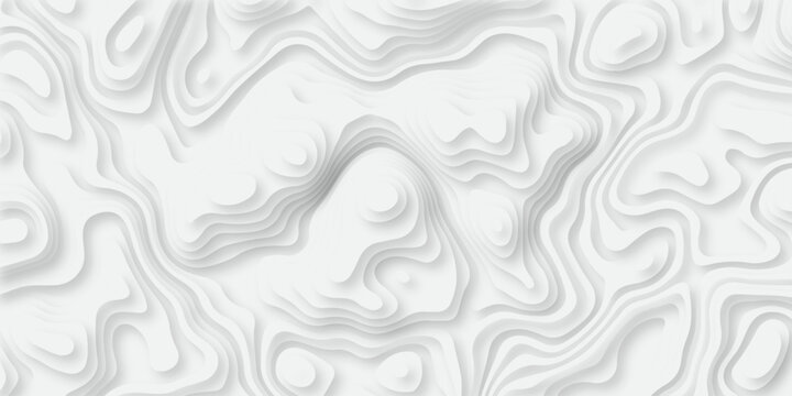 Abstract topography pattern seamless lines sea map modern design white background. Abstract digital topographic contour map concept space geometric strip grid line. Natural discovery of maps.