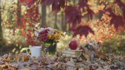 Foliage in the park. Autumn fall leaves of maple trees. Autumn fall leaves in sunlight. Natural autumn movement. Autumnal movement. Foliage, falling leaves movement. Autumn leaf.