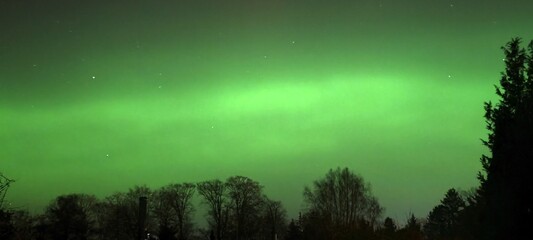 Gr&uuml;nes Polarlicht vor Waldrand