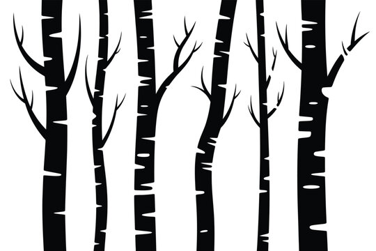 a striking black and white illustration featuring several tall bare birch trees