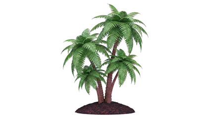 Obraz premium Cluster of Three Palm Trees on a Mound of Soil