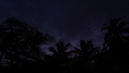 Tropical Palm Tree Silhouettes at Purple Twilight Sky