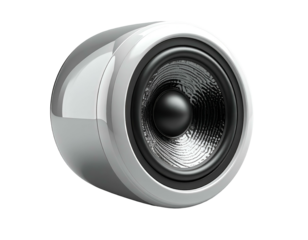 Silver Metallic Speaker with Black Center.