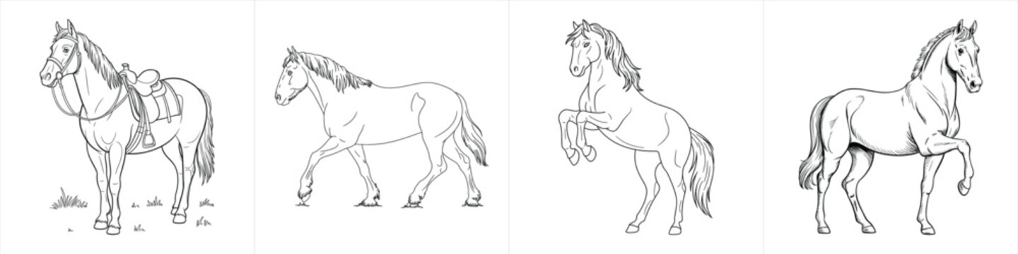 collection of detailed horse outlines in various poses drawing sketch set of line art vector illustration artwork black and white clipart design vector illustration artwork
