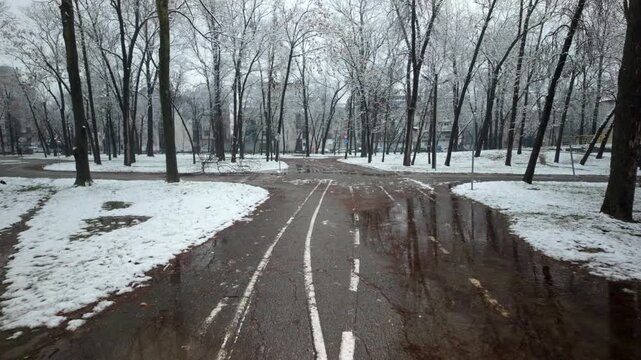 Approaching A Fork In Winter Park Road Under Bare Tree Canopies