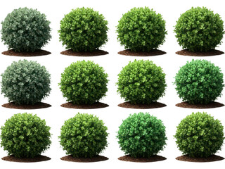 Obraz premium Collection of nine green bushes on transparent background isolated on transparent background