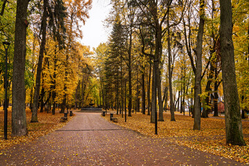 Park alley with bright yellow foliage and paved path on cloudy day. Beautiful autumn landscape, embracing the concept of nature's transformation and a walk in the fresh air. Golden autumn.