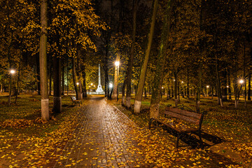 Paved pathway illuminated by streetlights in autumn park at dusk, surrounded by trees with colorful fallen leaves. Serene evening outdoor scene for calm mood.