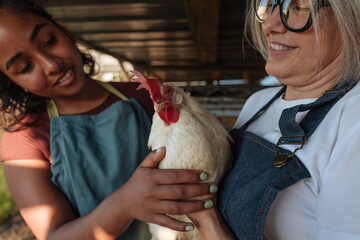 Farmers holding a white hen in a chicken coop