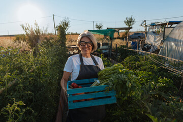 Senior farmer woman holding a crate of vegetables in her garden