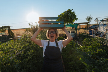 Farmer carrying vegetables in wooden crate on head in community garden